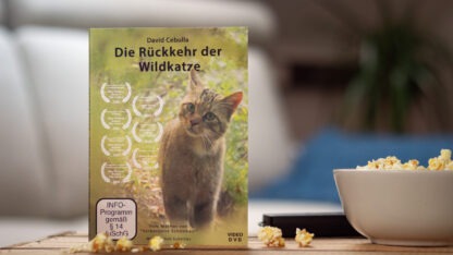 DVD Die Rückkehr der Wildkatze David Cebulla