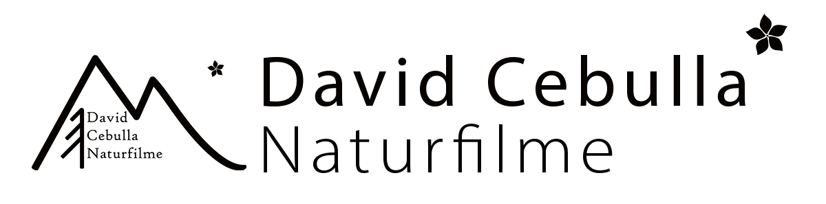 David Cebulla Naturfilme Shop