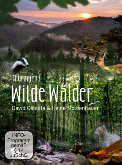 Filmposter DVD "Wilde Wälder" | David Cebulla & Heide Moldenhauer
