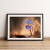 Vorschau A3 Fineart Poster Frühblüher Leberblümchen | David Cebulla Naturfilme