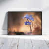 Vorschau A3 Fineart Poster Frühblüher Leberblümchen | David Cebulla Naturfilme