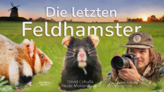 Die letzten Feldhamster | David Cebulla